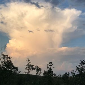 Meet your Posher, Alisa